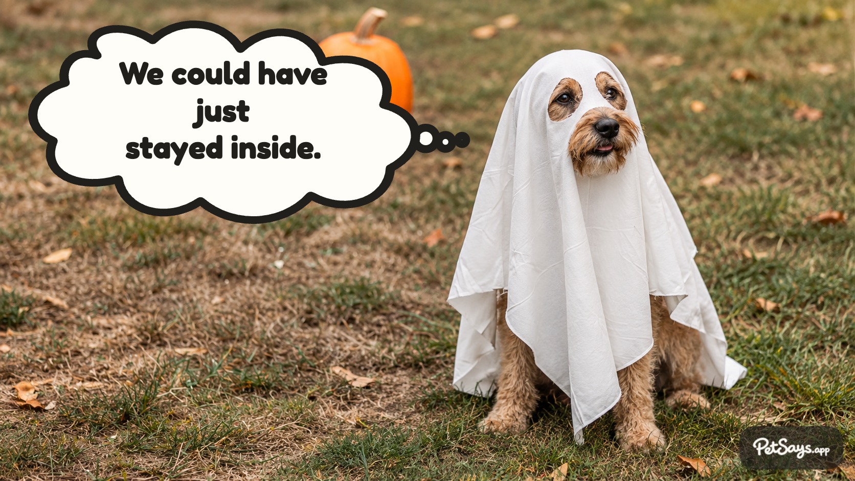 Finished PetSays example of a dog thinking I haven’t eaten in minutes.