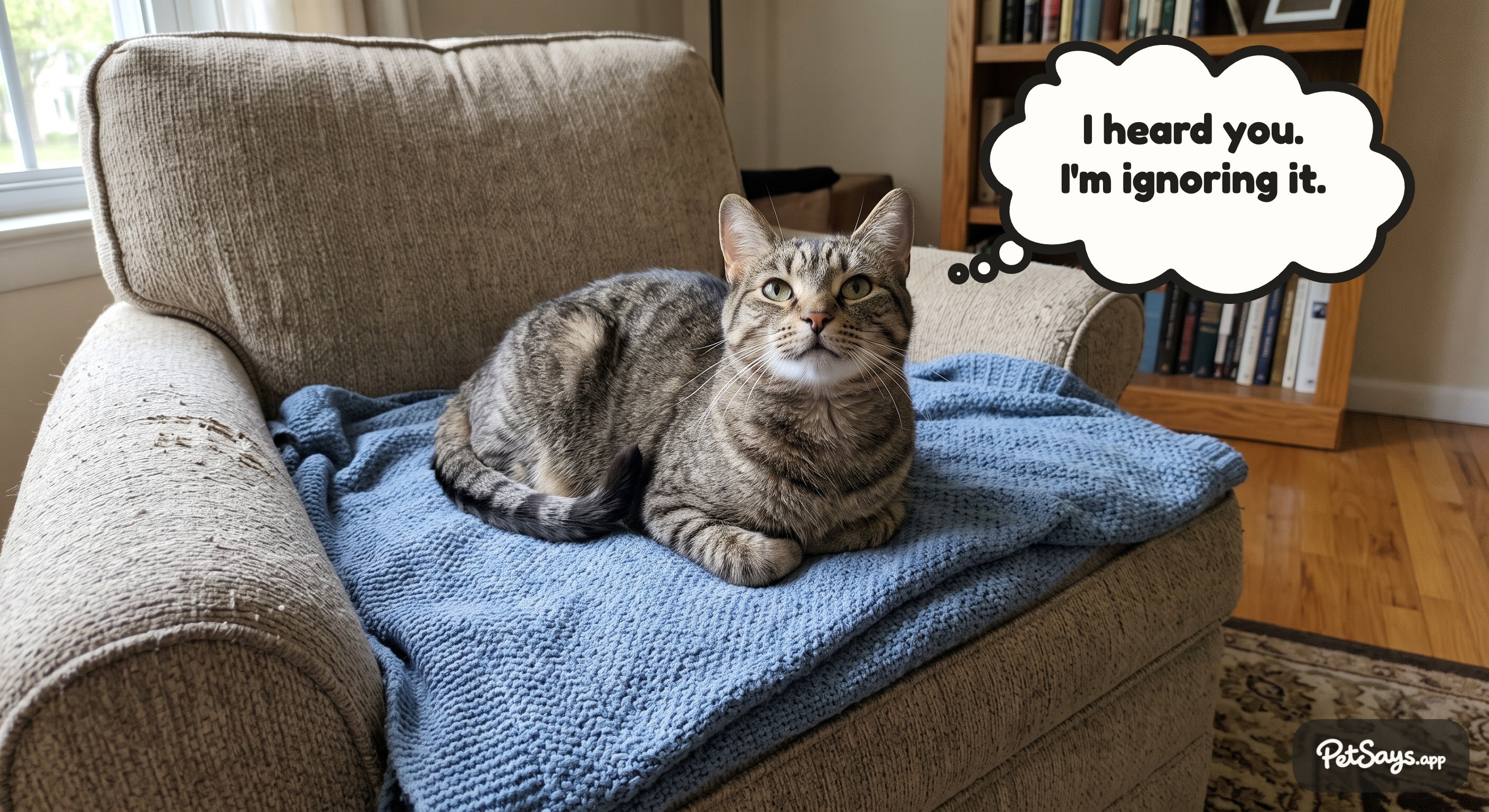 Finished PetSays example of a cat thinking I have questions.